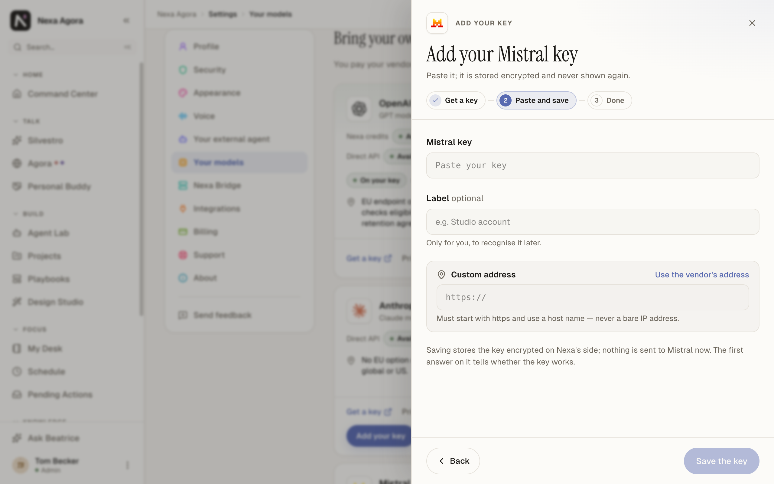 The key sheet for Mistral at Paste and save, with the custom address field open.