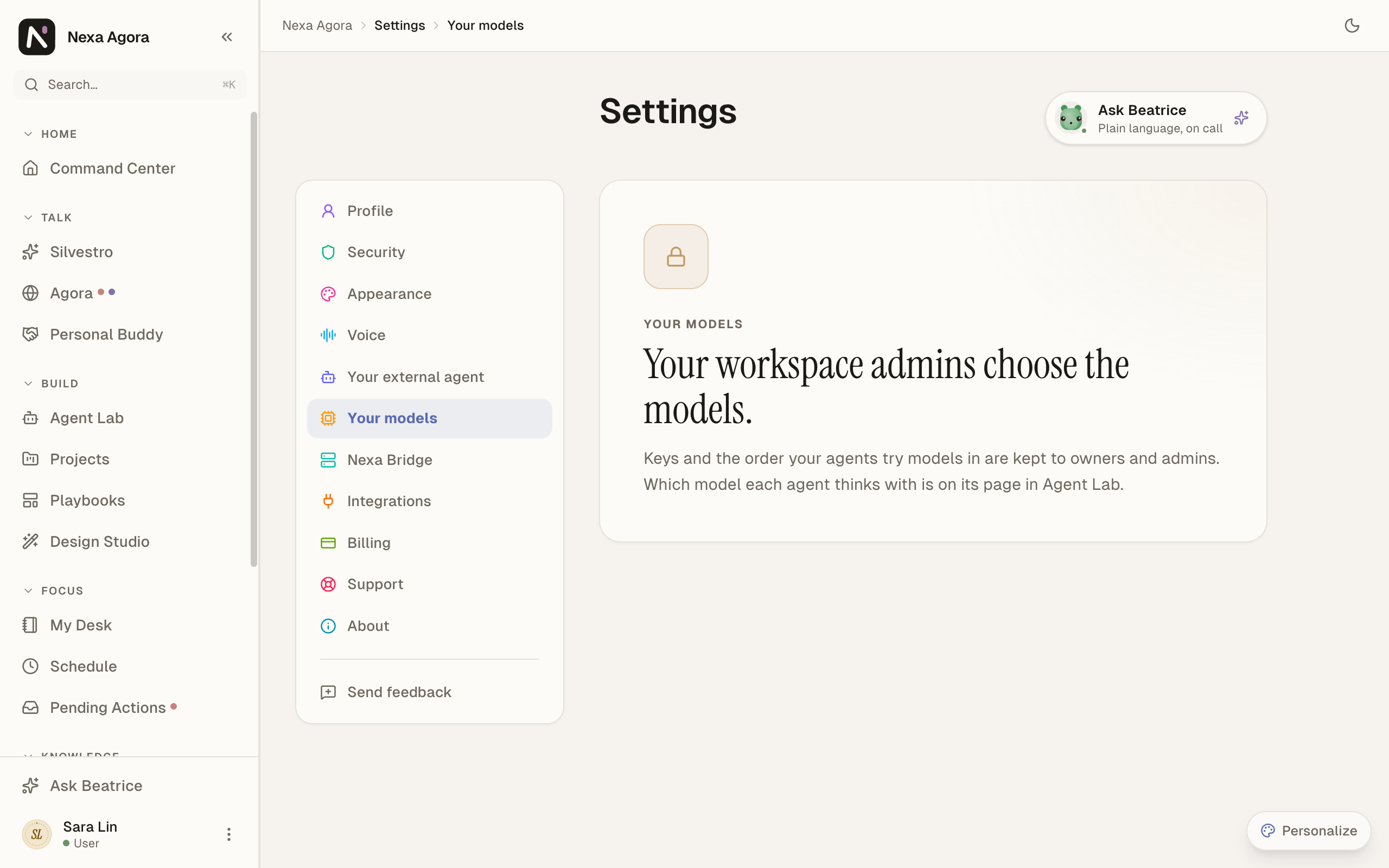 The member view for Sara Lin: "Your workspace admins choose the models."