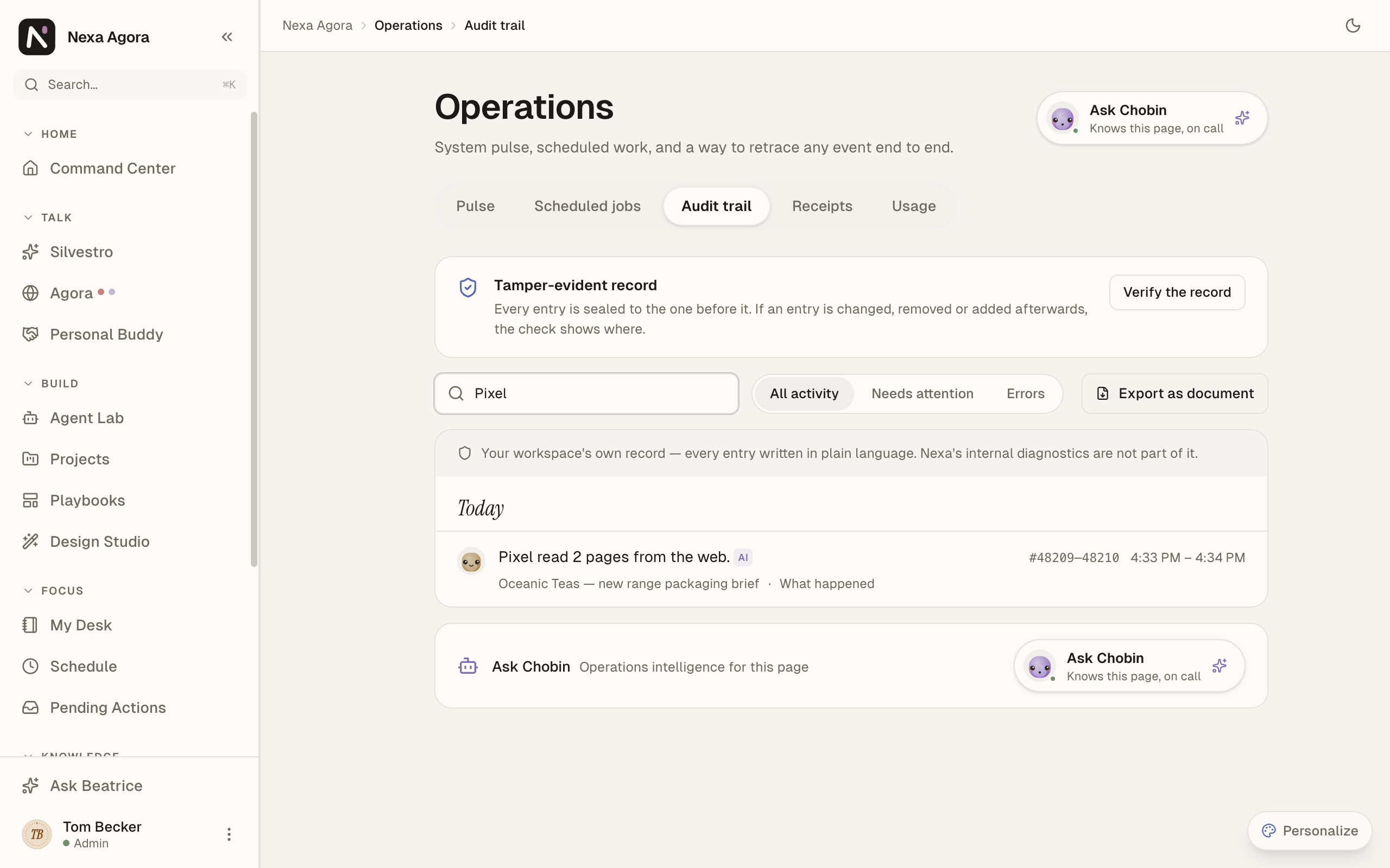 The audit trail with "Pixel" typed in the search, showing only Pixel's entry.