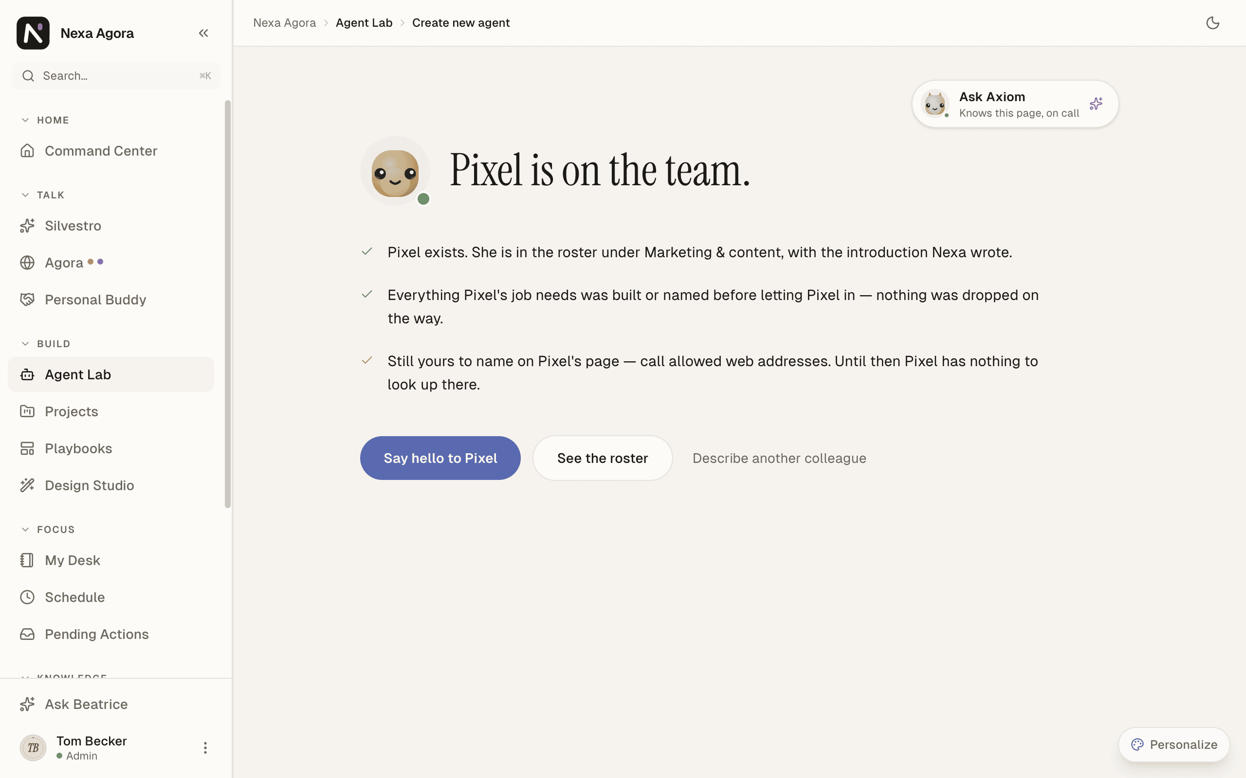 The page "Pixel is on the team." with Say hello to Pixel.