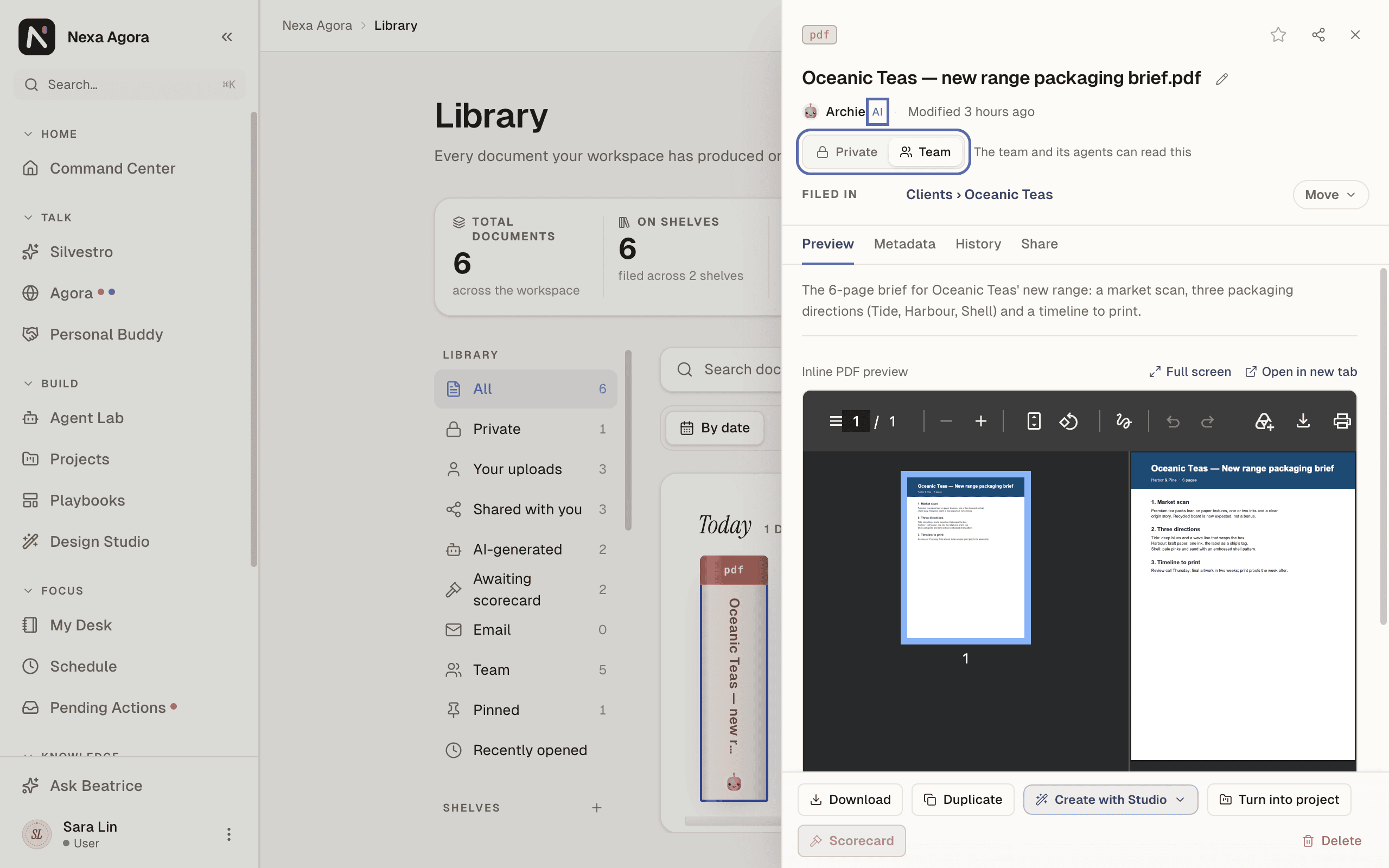The Library in Shelf view for Sara Lin, with the Private and Team marks and the "AI" label on an agent-made document highlighted.