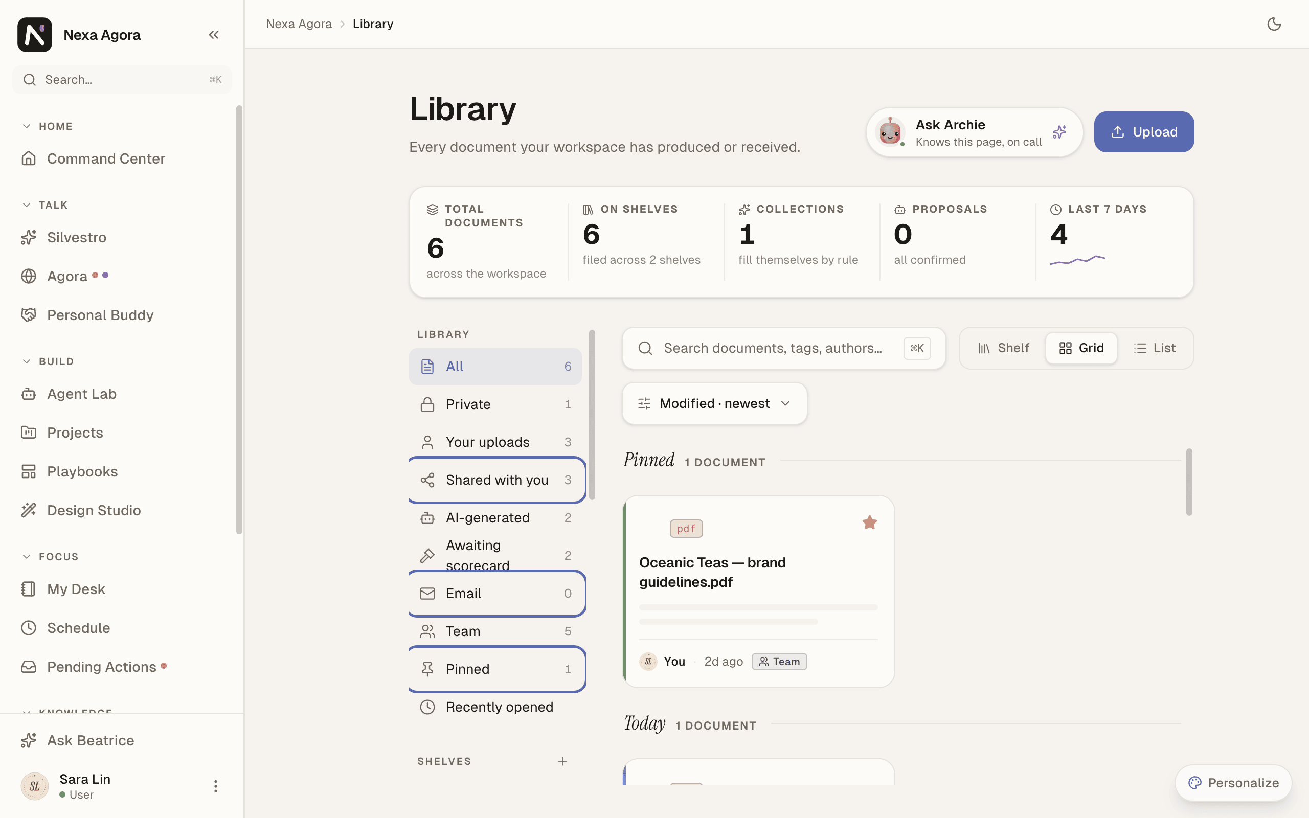 Grid view with the left rail, and Shared with you, Pinned and Email highlighted.