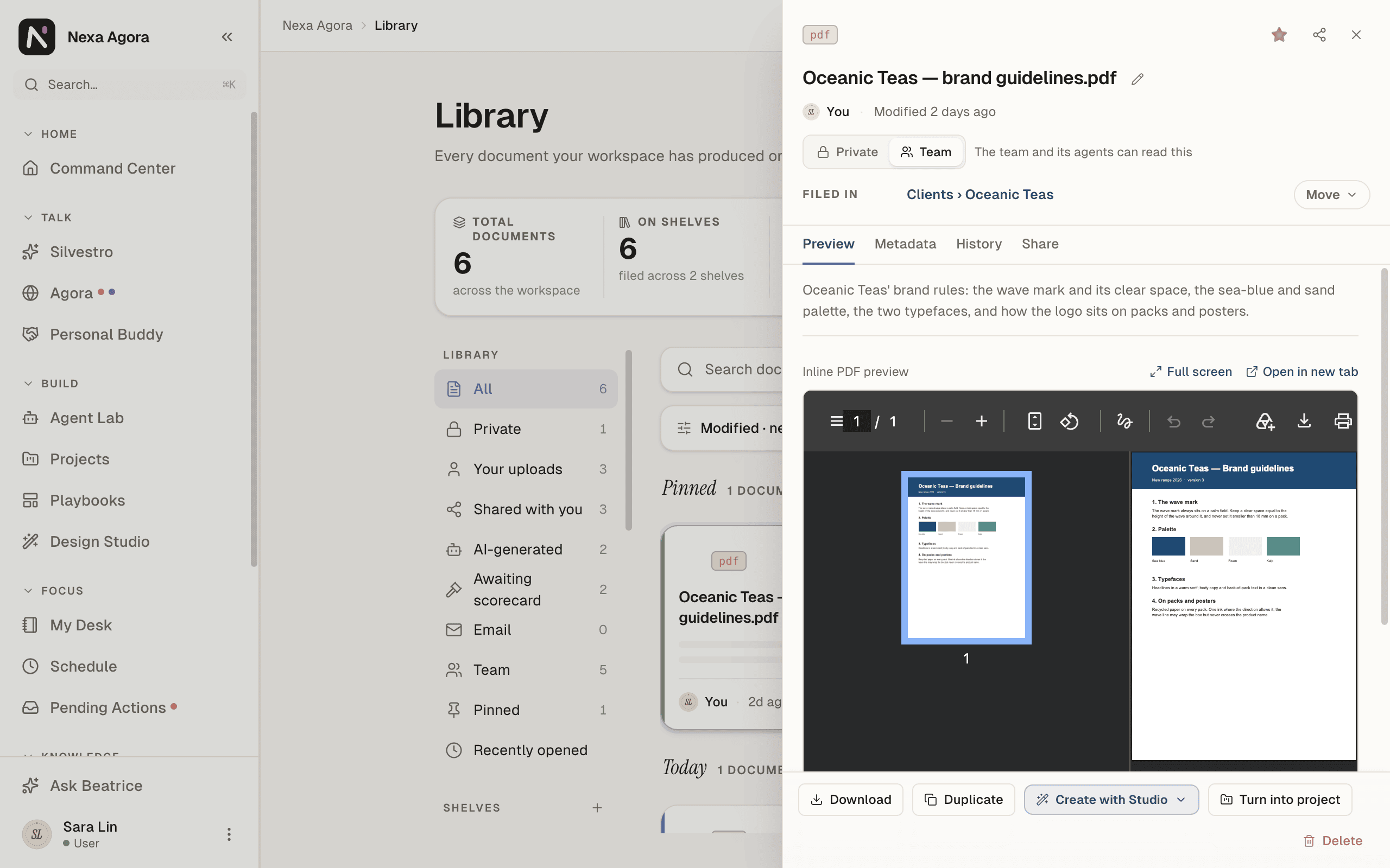 The detail panel of "Oceanic Teas — brand guidelines.pdf" on Preview, with the Private / Team switch at the top.